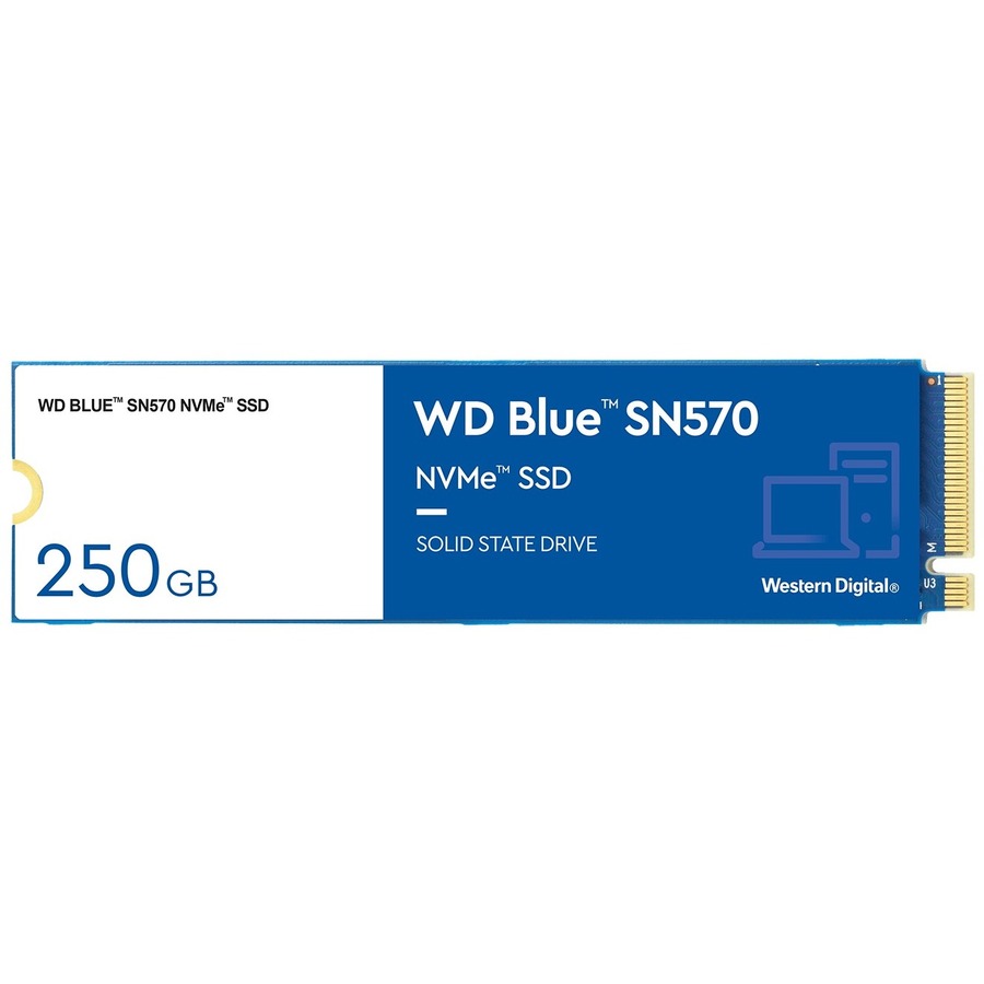 WDS250G3B0C-1