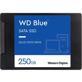 WDS250G2B0A