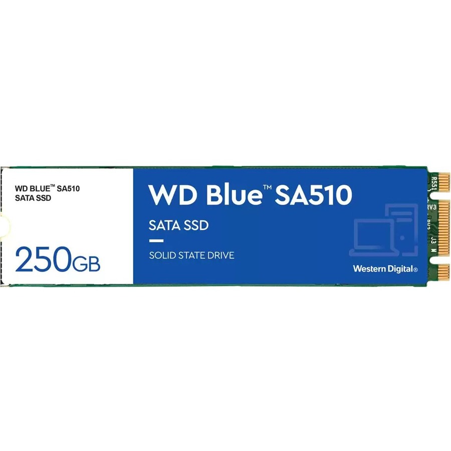 WDS250G3B0B-1