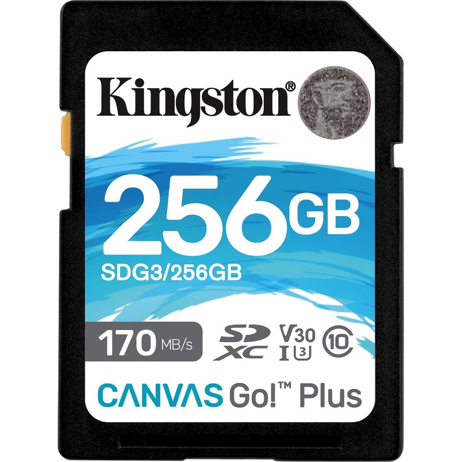 SDG3/256GB-1