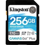 SDG3/256GB